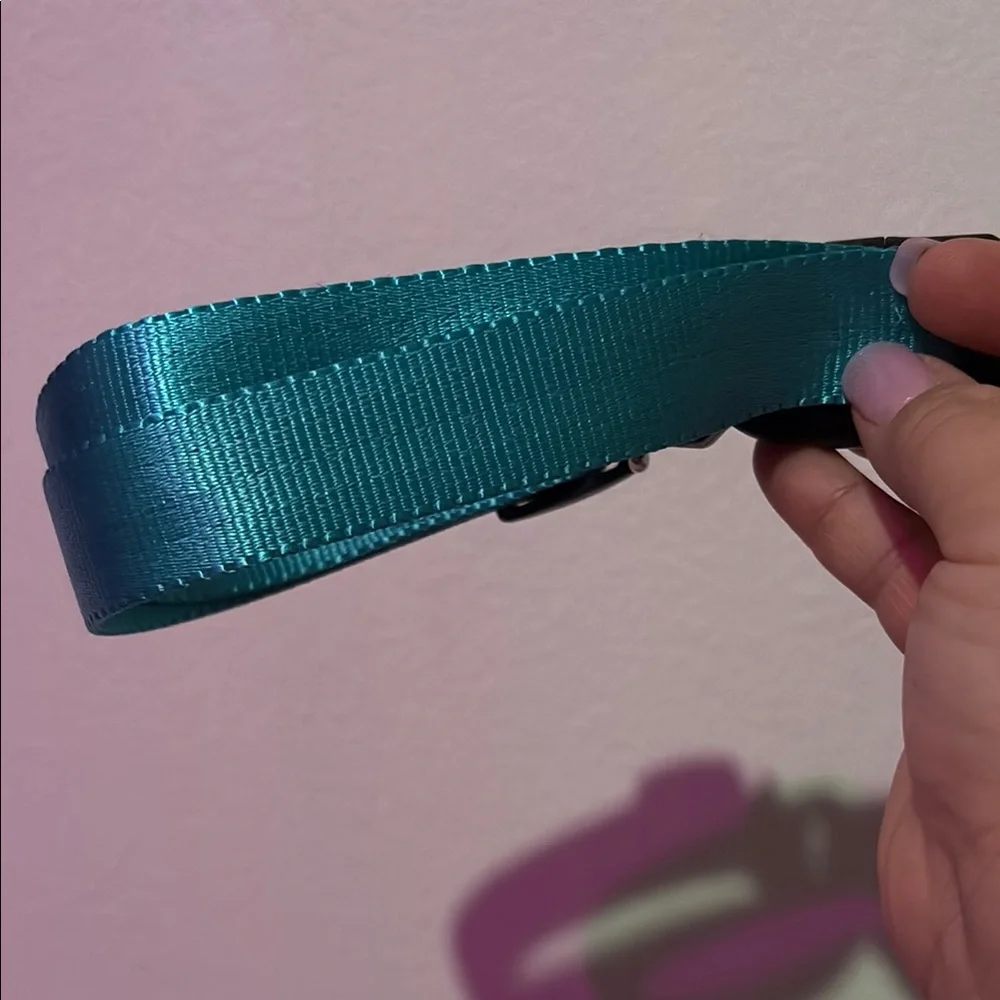 Teal Adjustable Dog Collar